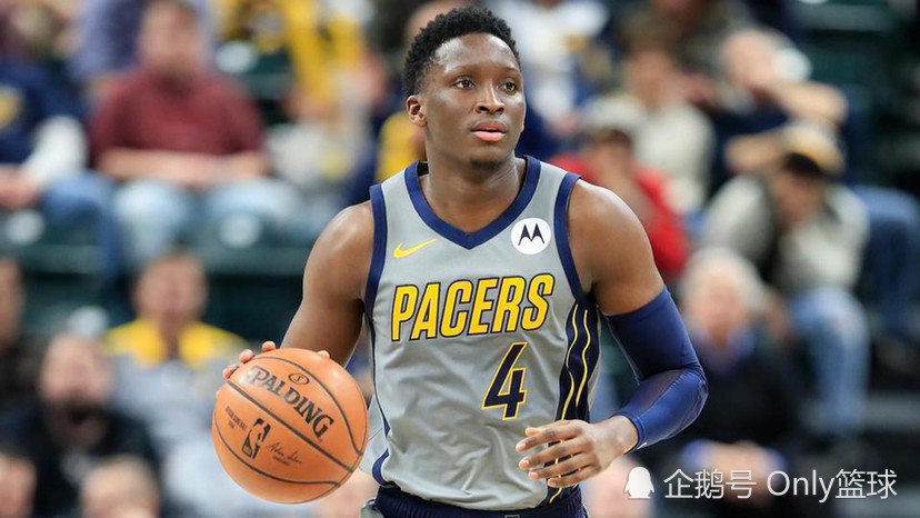 他们的申报 他们的申报