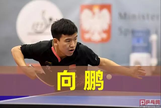 动作往往会 动作往往会