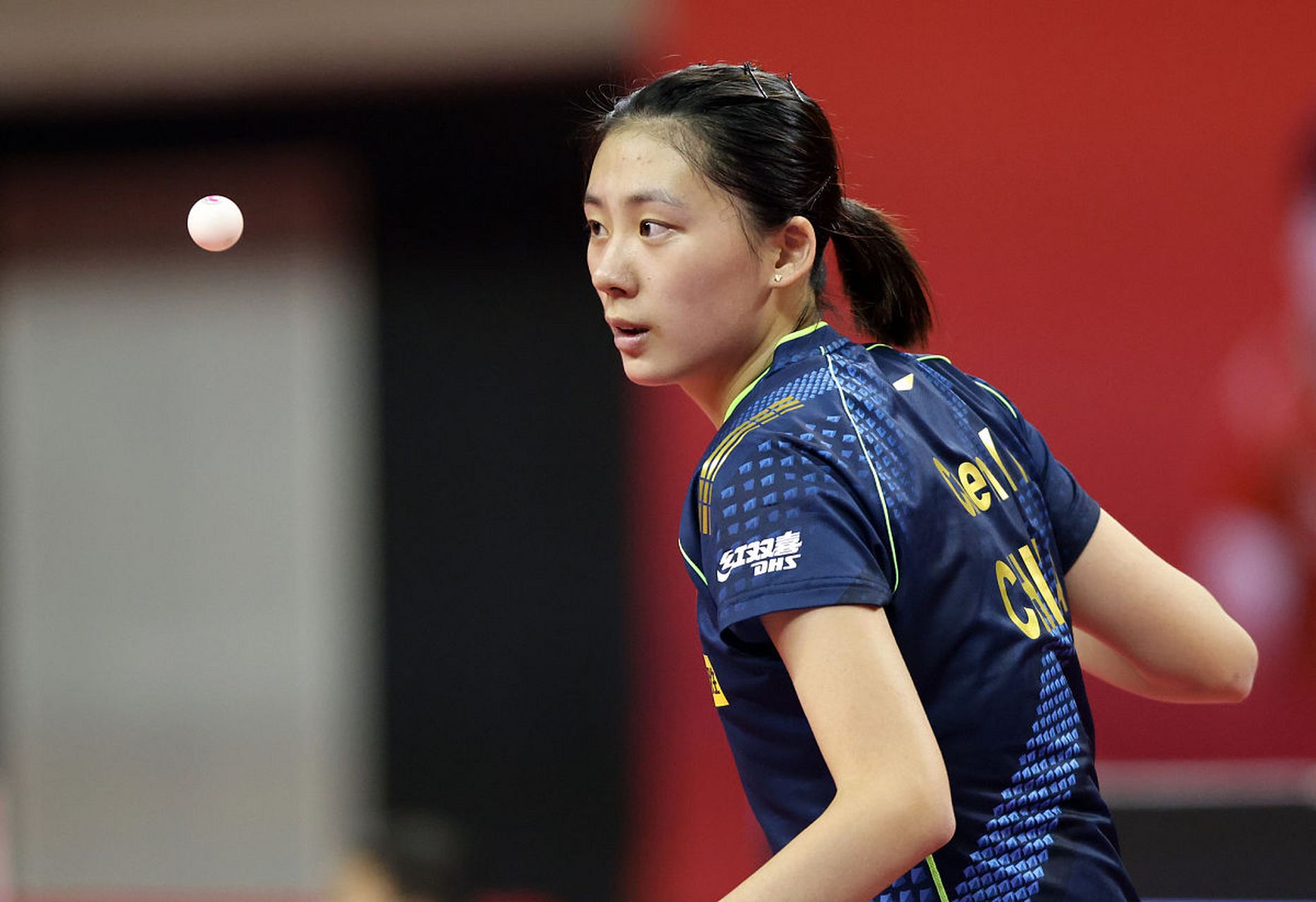 我可以帮你 我可以帮你